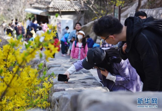 4月3日，游客在北京凤凰岭游览拍照。当日是清明小长假第一天。新华社记者 任鹏飞 摄