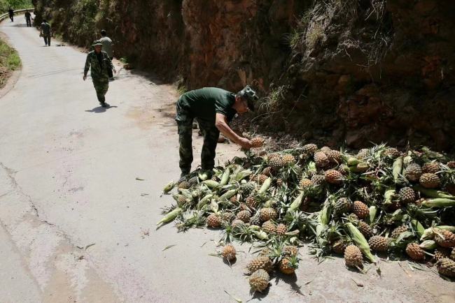 “追象”行动：撒菠萝、设护坡、20吨重卡路边待命