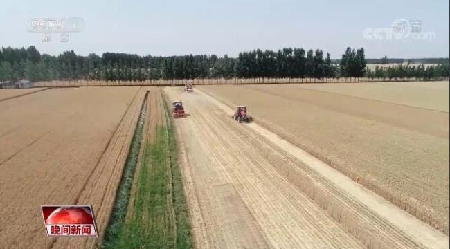 “三夏”期间全国夏收进度近三成 农业生产总体进展顺利