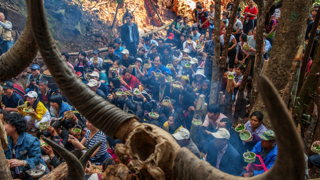 【跟着大象逛云南·“象”滇记】②普洱:“象”见恨晚的地方