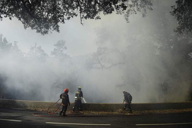 法国森林火灾过火面积超2000公顷 大批消防员出动救援