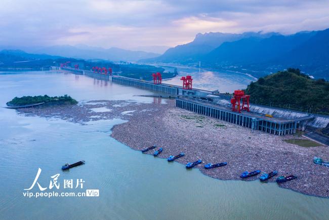 湖北宜昌：三峡坝前清漂忙