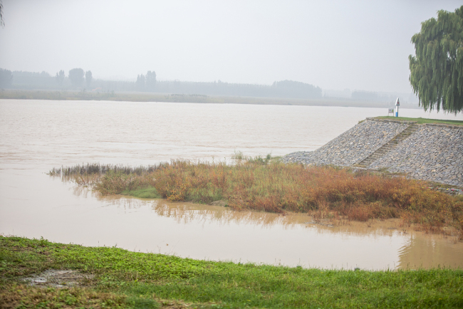 山东滨州：黄河迎来洪峰高水位