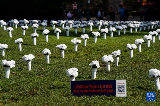 纽约：白色瓶花悼念枪支暴力遇难者