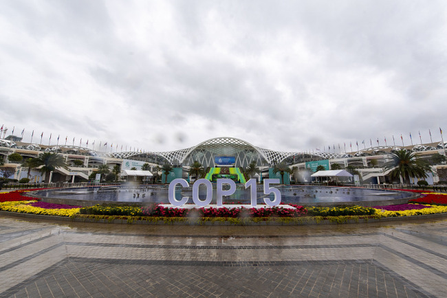 昆明：COP15开幕在即 大会会场准备就绪迎宾客