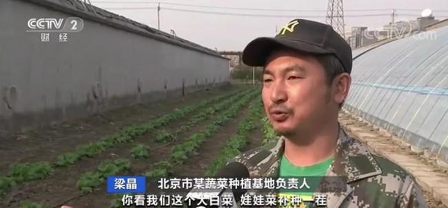 蔬菜“断茬”掀涨价潮 现已冲高回落