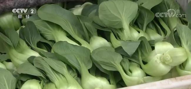 “菜篮子”保供稳价 | 北京：免除4个批发市场进场交易费 增加蔬菜供应