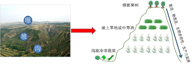 关注国家科技进步奖丨梅旭荣：占耕地近半的旱地农业潜力巨大