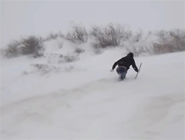 辽宁一农户家8头牛走失 数十人踏1米多厚积雪寻牛