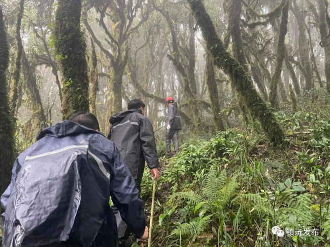 云南哀牢山失联人员雨衣被找到 这次救援有多难？