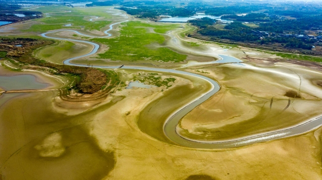 鄱阳湖进入枯水期 湿地景观美翻了