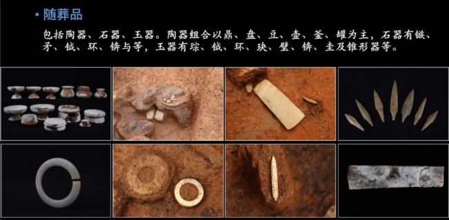 中国发现世界上面积最大、年代最早的古稻田遗址