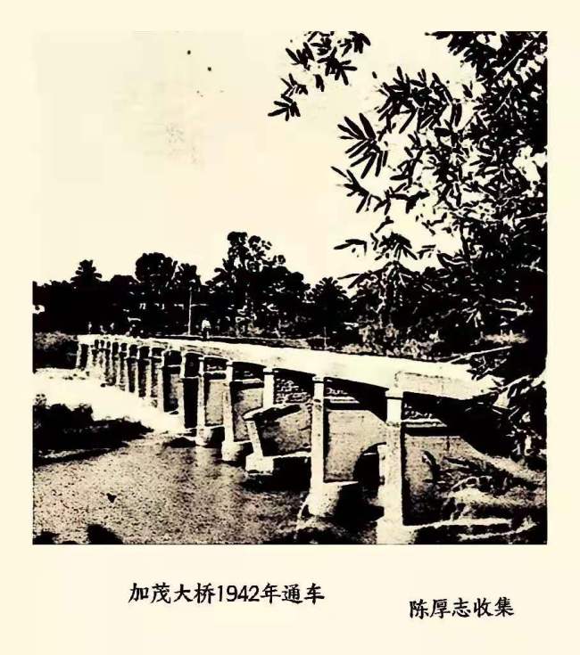 新确认7名日军慰安妇制度受害者 她们何时能等来道歉？