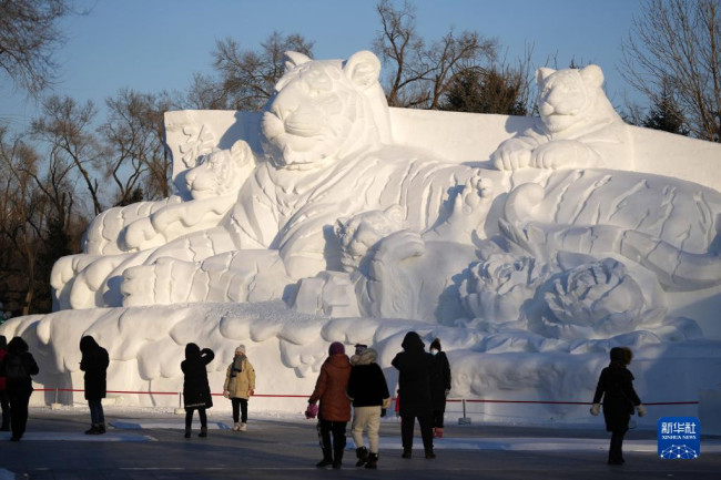 12月24日，在太阳岛雪博会园区，游客在雪雕前游览。