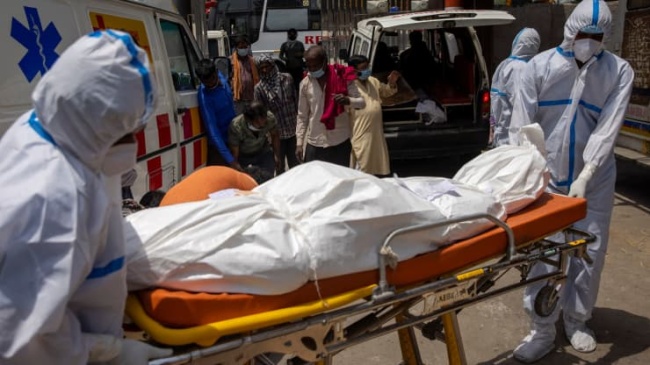 死于新冠病毒的患者尸体被抬往印度新德里火葬场火化研究的主要作者