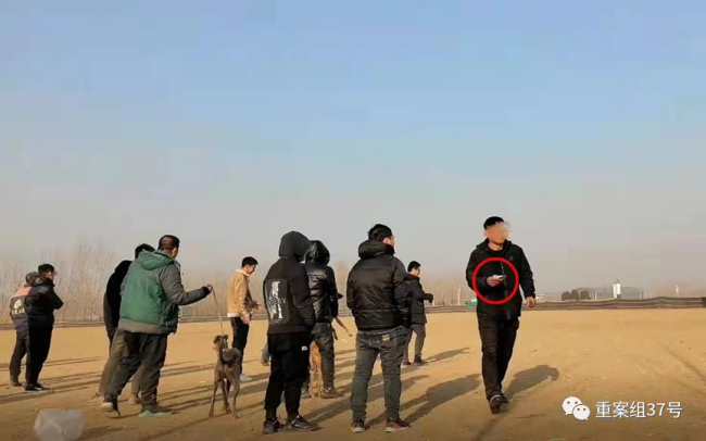 暗访“狗撵兔”赌局：每场下注上万元 庄家抽成20%