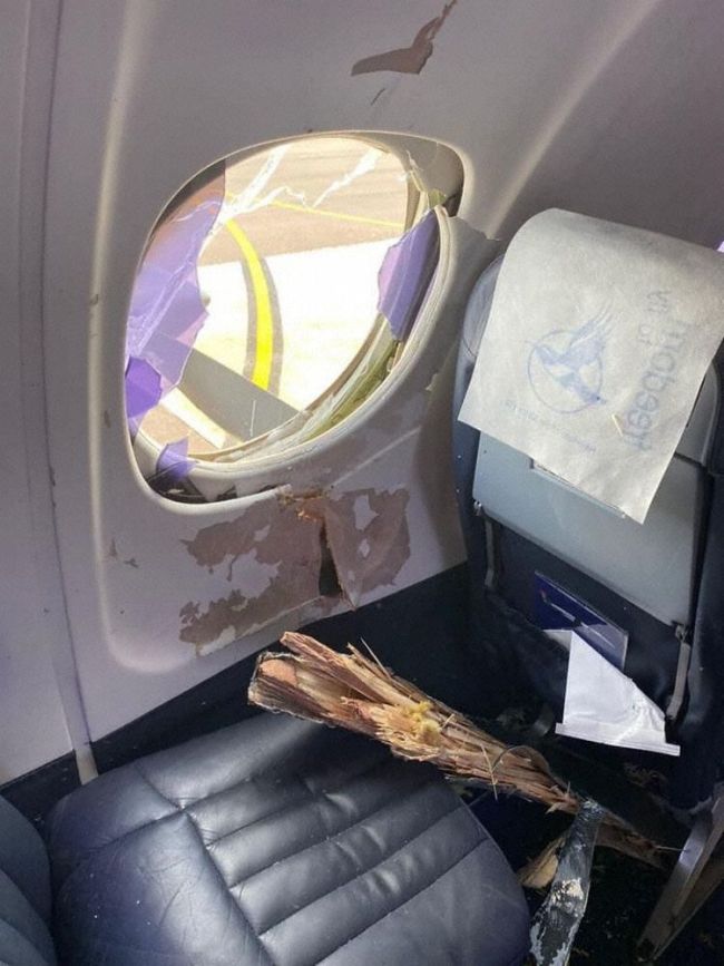 南非航空一飞机与大鸟相撞:窗户被打碎 舱内有羽毛