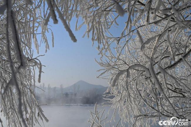吉林：大寒时节雾凇美