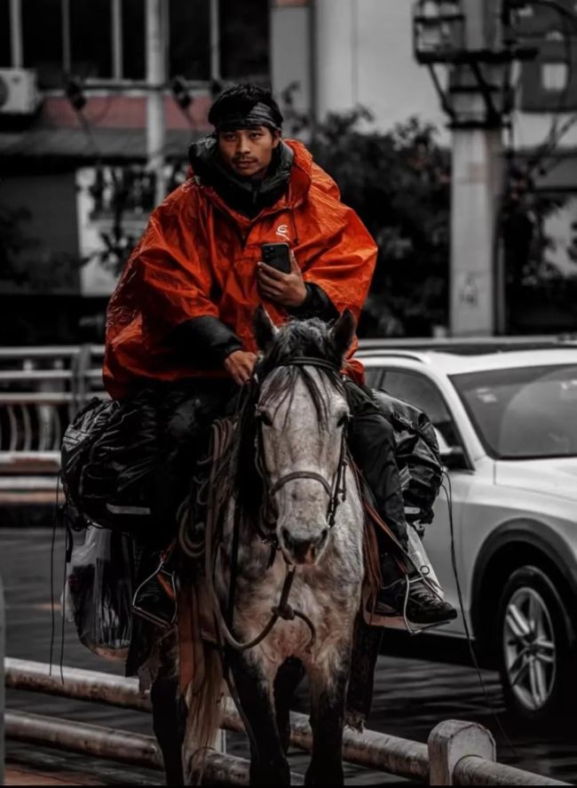 计划软件预测公式_重庆小伙八千里路走单骑 骑马从新疆返乡