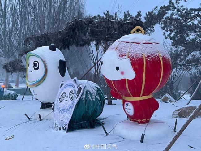 北京迎虎年首场降雪 看雪中的冰墩墩雪容融