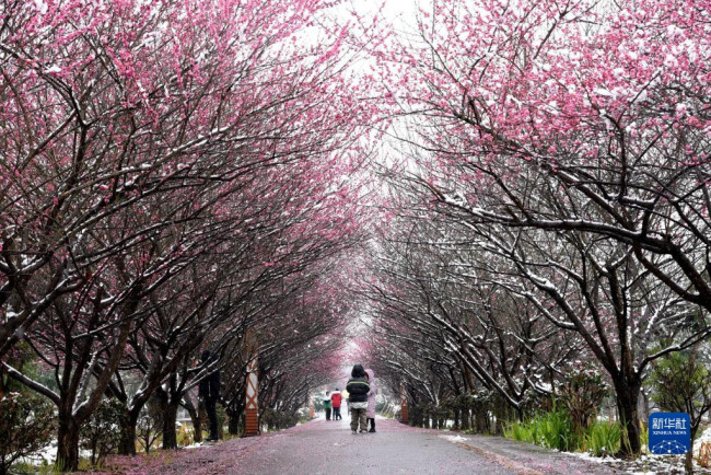 2月22日在贵州省遵义市余庆县一观光园内拍摄的雪景。