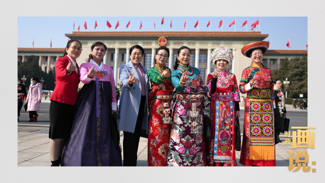 时政画说丨玉兰花开时
