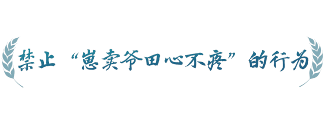春事看农桑丨农田就是农田