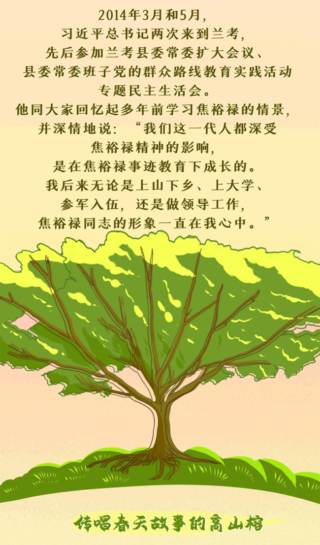 绘学习丨习近平与“树”的故事