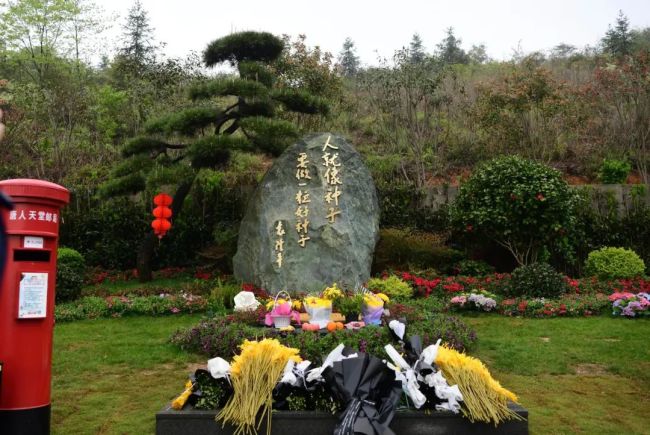 袁隆平夫人和学生带着“成绩单”去看袁老了