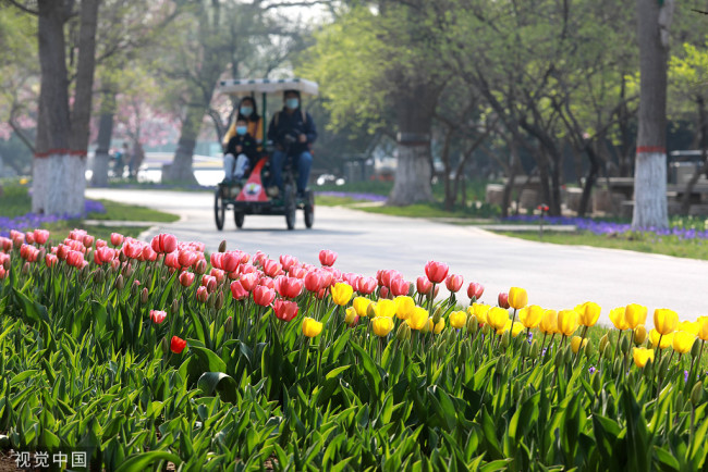 2022年4月4日，游客在石家庄市植物园赏景游玩，享受春光。