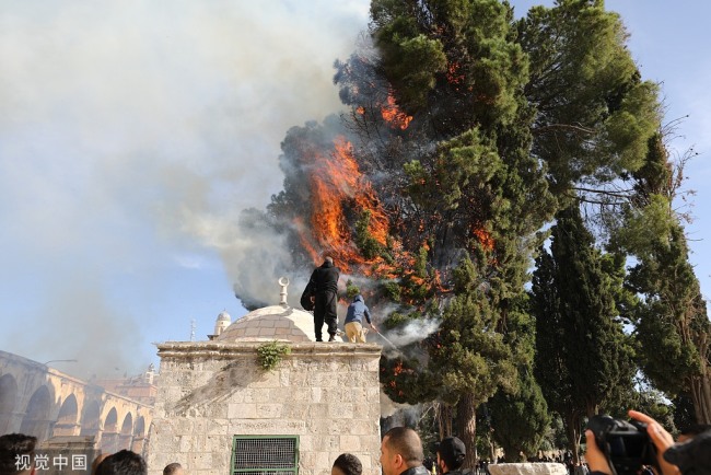 《计划软件免费版下载_巴以爆发冲突 致阿克萨清真寺内树木失火》