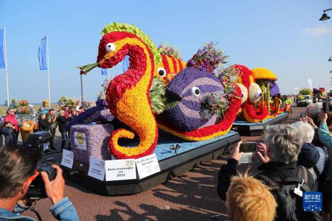 荷兰举行大型花车巡游庆典