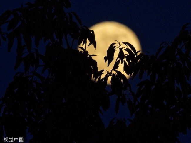全球多地夜空觀測到滿月美景