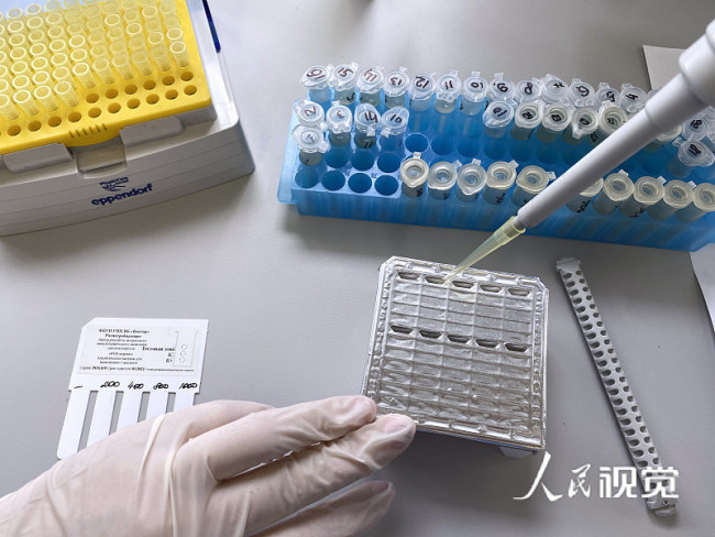 当地时间2022年5月25日，俄罗斯新西伯利亚，猴痘检测试剂盒。