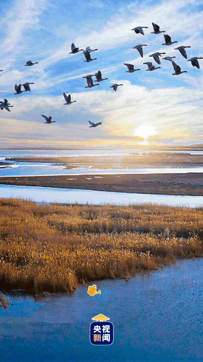 学习图说丨谁不说俺家乡好
