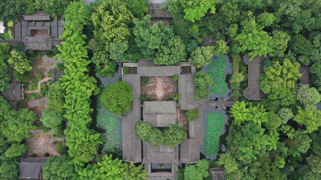 鉴往知来，跟着总书记学历史丨故里寻踪读东坡
