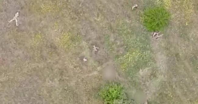 击倒乌军后，3人上前打扫战场，其余士兵则在一旁保持警戒