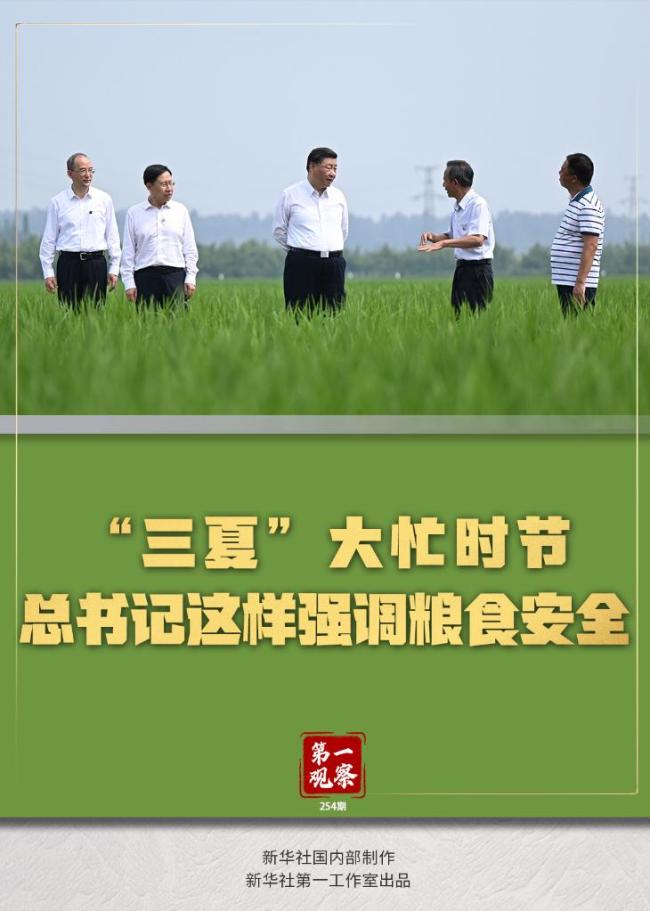 第一观察｜“三夏”大忙时节 总书记这样强调粮食安全