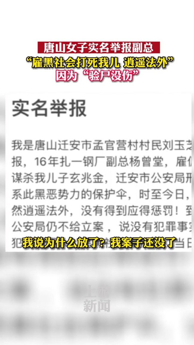 唐山女子举报副总雇黑社会打死其子