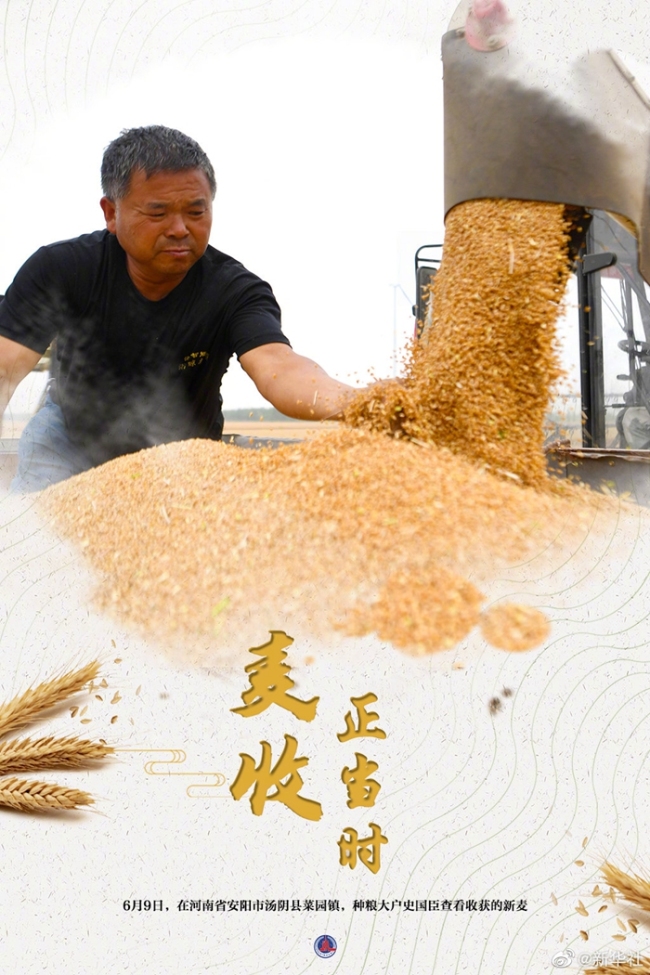 大国粮策丨麦香四溢！好一幅麦收全景图