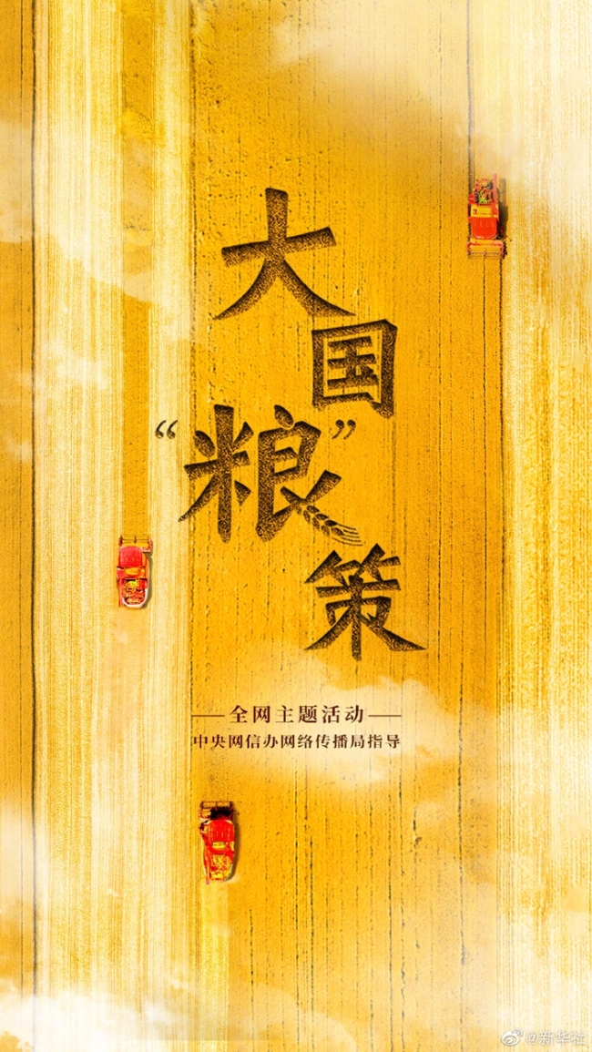 大国“粮”策丨麦香四溢！好一幅麦收全景图