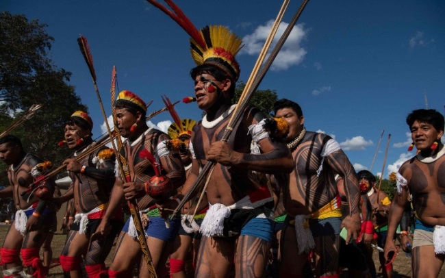 在亚马孙遇难，巴西原住民专家为何成“高危职业”