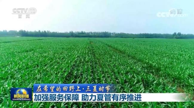 【在希望的田野上·三夏时节】加强服务保障 助力夏管有序推进