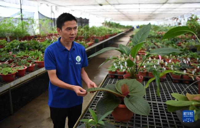 第二个国家植物园成立