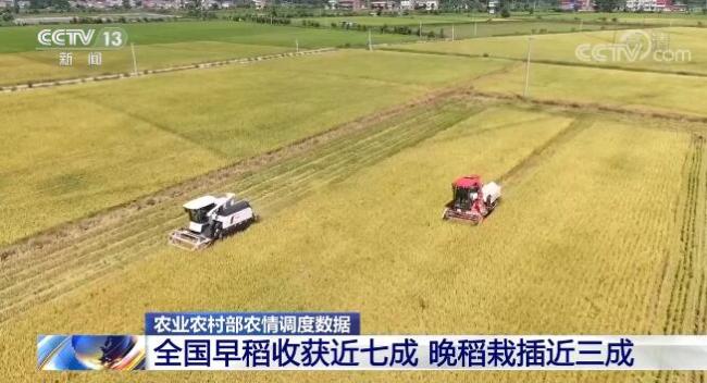 在希望的田野上 | 全国早稻收获近七成 晚稻栽插近三成