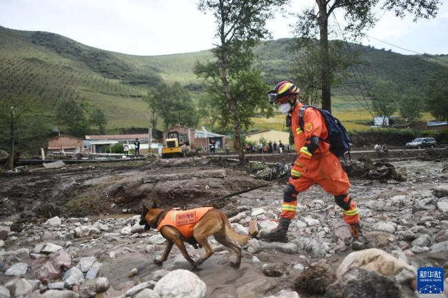 8月18日，消防隊員在青海省西寧市大通回族土族自治縣青山鄉沙岱村開展搜救。
