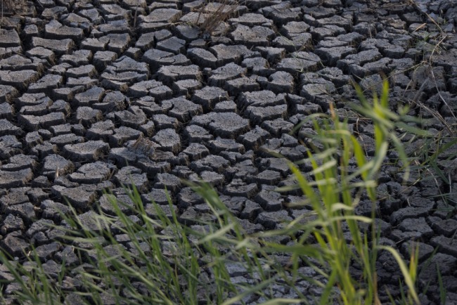 欧洲近三分之二地区干旱或有干旱风险