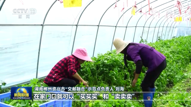 非凡十年 | 农村物流提速 畅通城乡循环