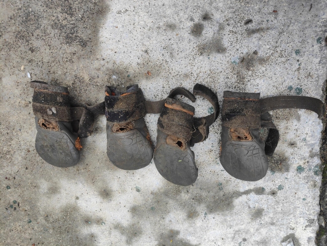 “疾风”被磨破的新鞋。 受访者供图