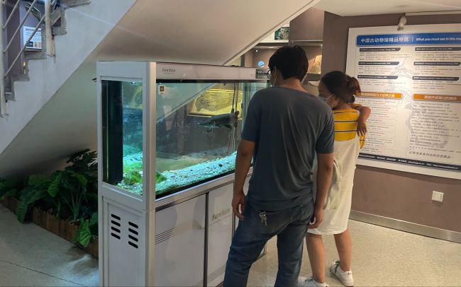 中国古动物馆鳄雀鳝咬伤游客 现场有女童被吓哭